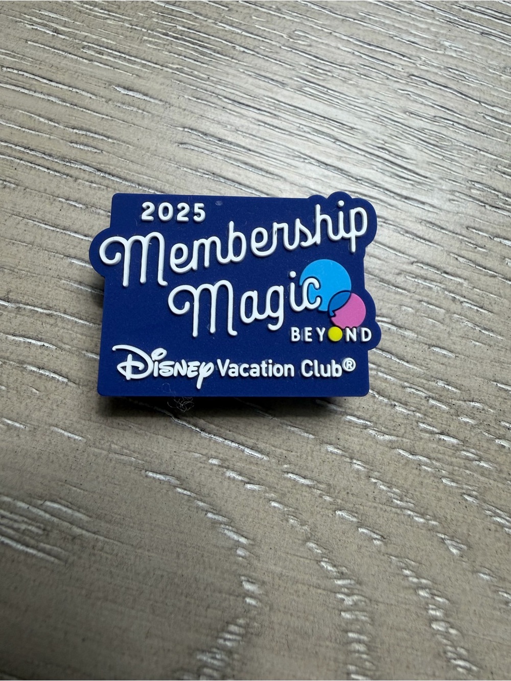 Disney DVC Membership Magic Band Slide 2025